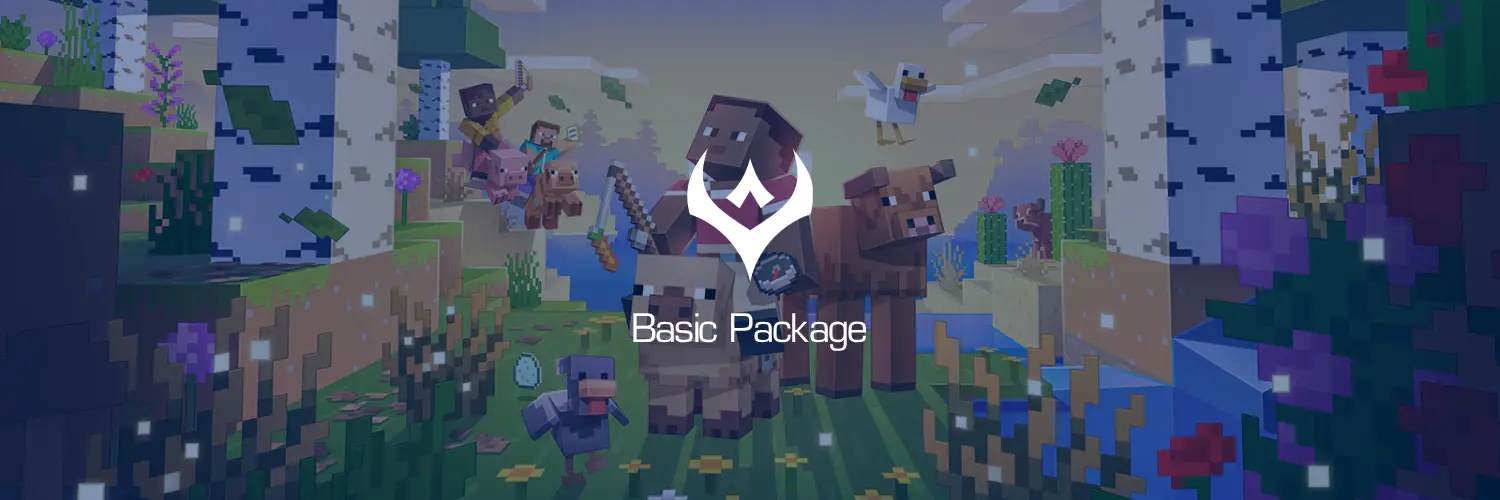 Minecraft Basic Packages